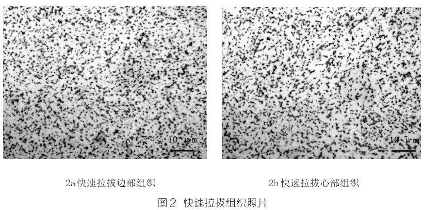 1694746309103130.jpg t2.jpg